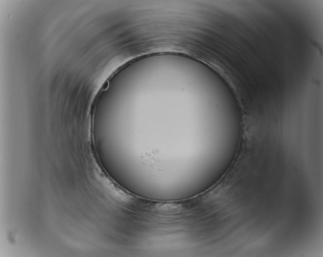 X0000103491140200809261944