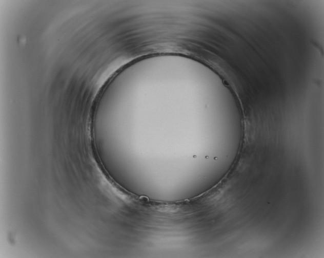 X0000103491141200809261944