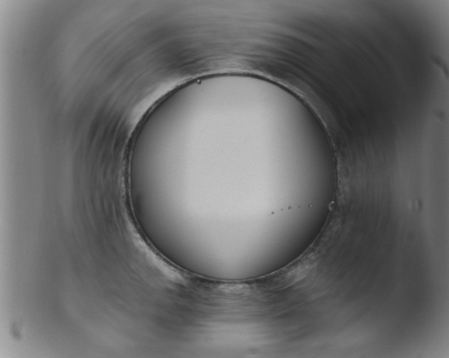 X0000103491142200809261944