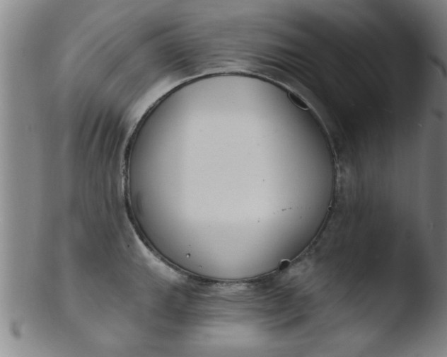 X0000103491143200809261944