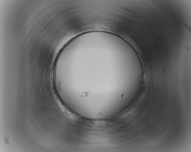 X0000103491144200809261944