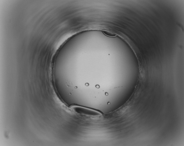 X0000103491147200809261945