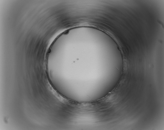 X0000103491148200809261945