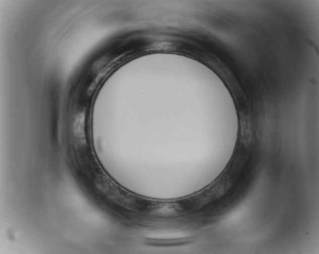 X0000103491150200809261945