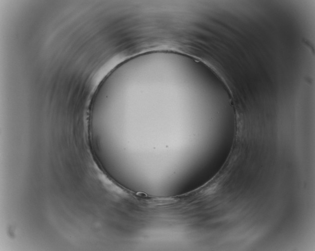 X0000103491151200809261945