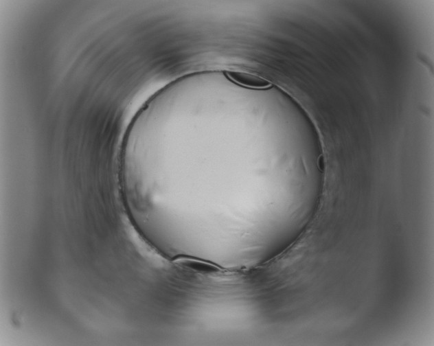 X0000103491152200809261945