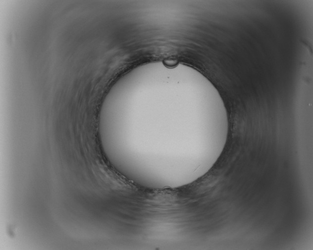 X0000103491153200809261944