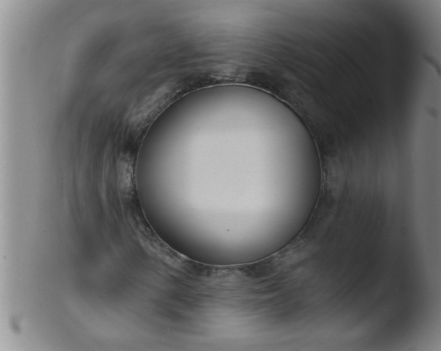 X0000103491154200809261944