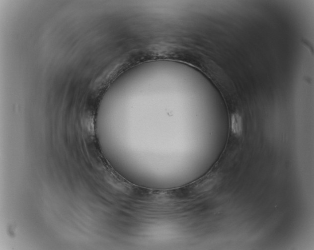 X0000103491155200809261944