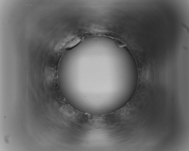 X0000103491157200809261944