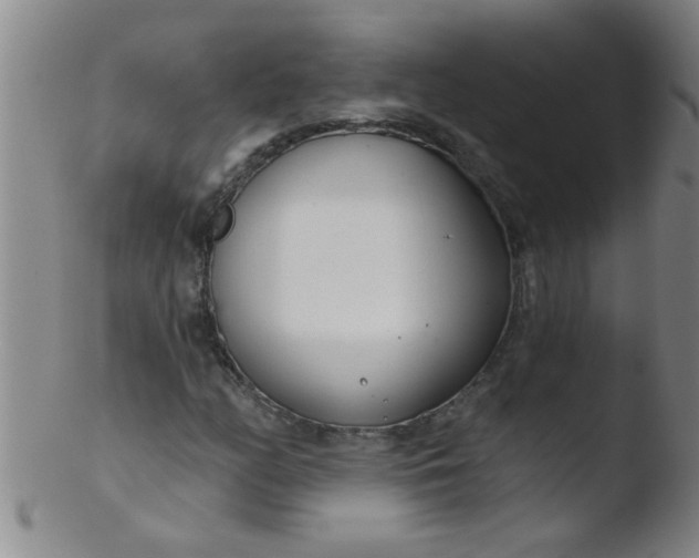 X0000103491158200809261944