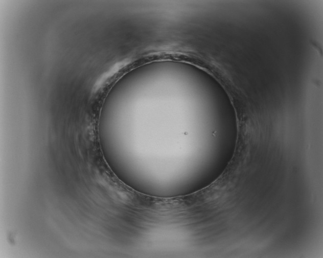 X0000103491159200809261944