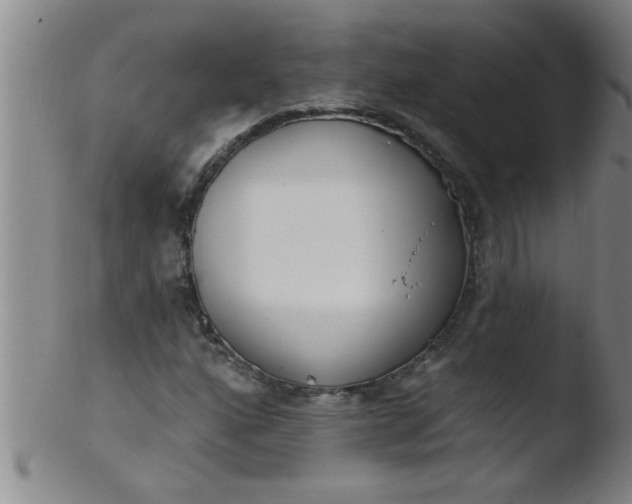 X0000103491160200809261944