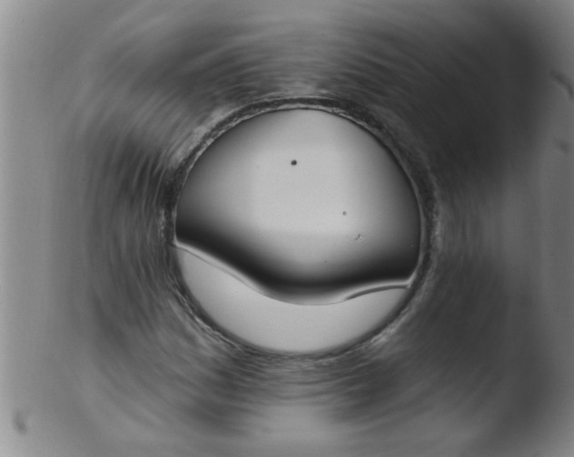 X0000103491161200809261944