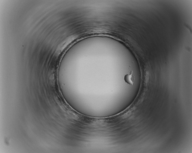 X0000103491162200809261944