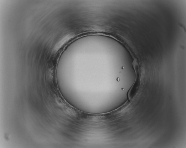 X0000103491163200809261944