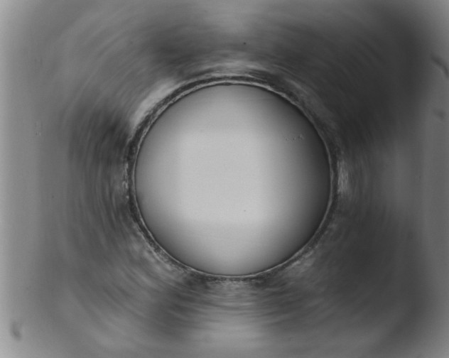 X0000103491164200809261944