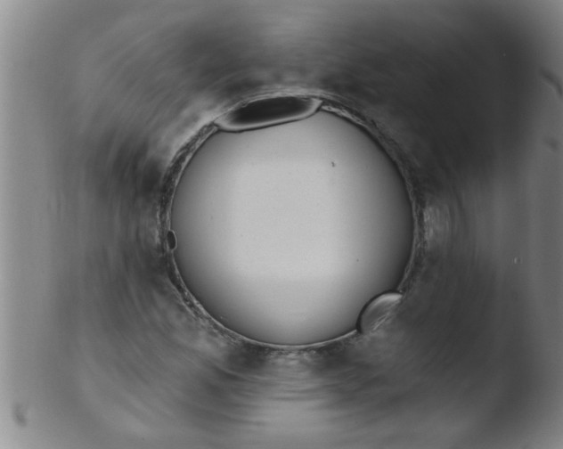 X0000103491165200809261944