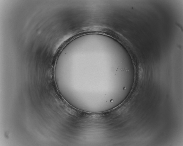 X0000103491166200809261944