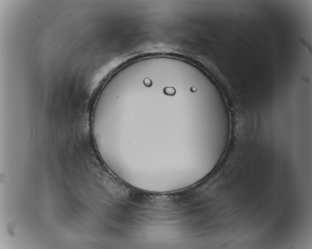 X0000103491167200809261944