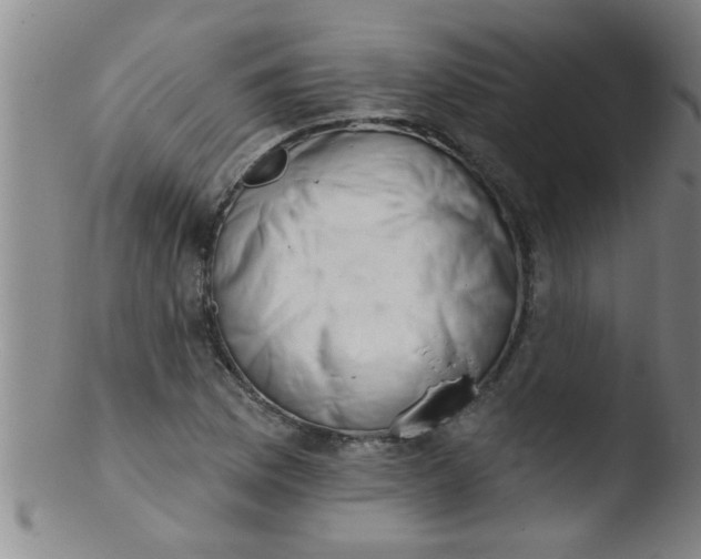 X0000103491169200809261944