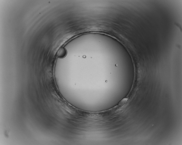 X0000103491170200809261944