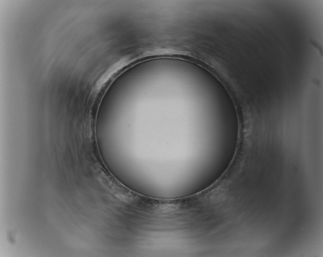 X0000103491173200809261943