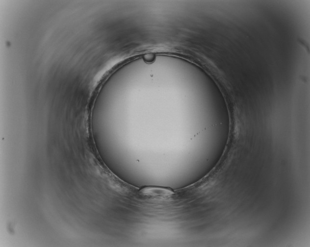 X0000103491174200809261943