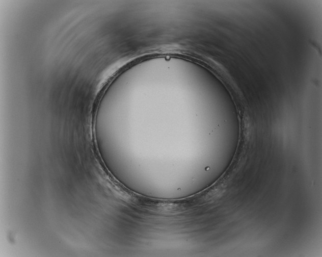 X0000103491176200809261943