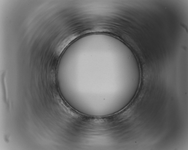 X0000103491177200809261943