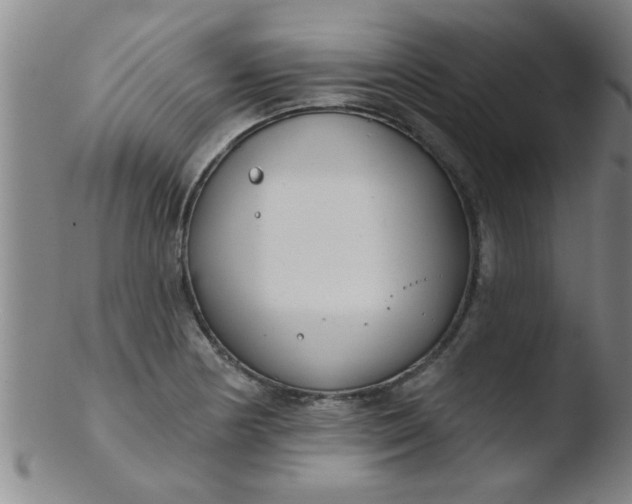 X0000103491178200809261943