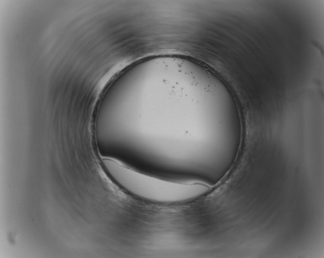 X0000103491181200809261943