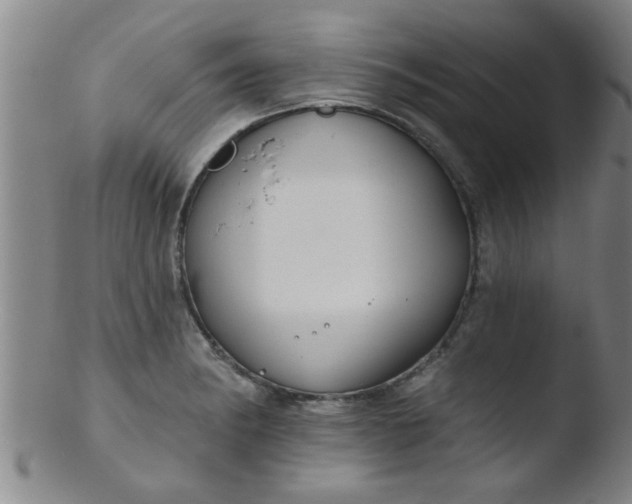 X0000103491182200809261943