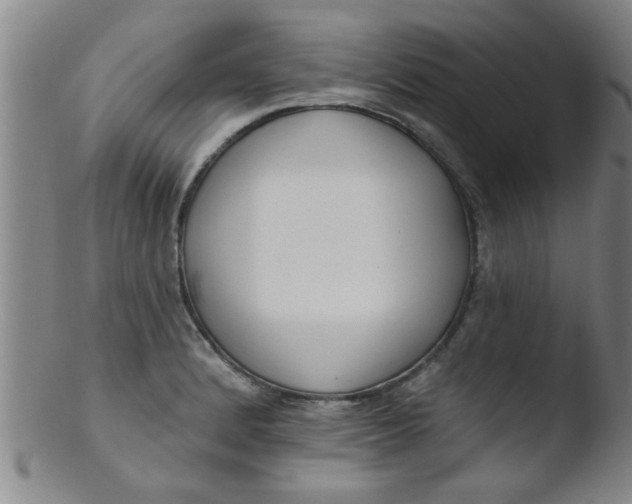 X0000103491184200809261943