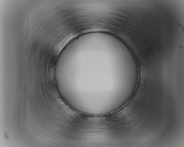 X0000103491185200809261943