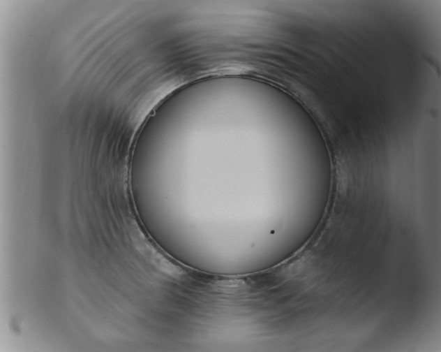 X0000103491186200809261943