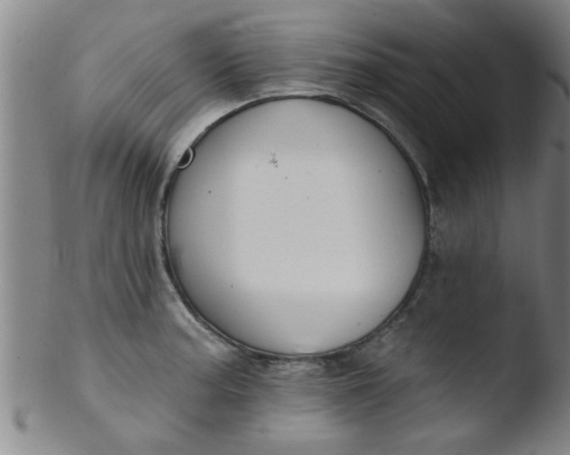 X0000103491187200809261943