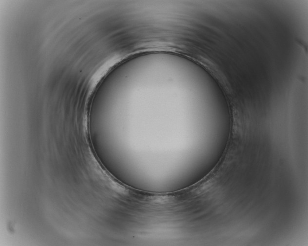 X0000103491188200809261943