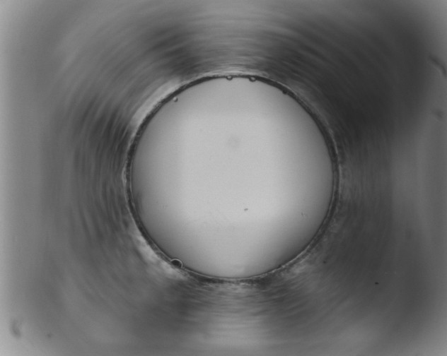 X0000103491189200809261943