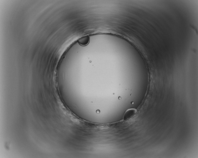 X0000103491190200809261943