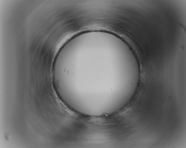 X0000103491191200809261943