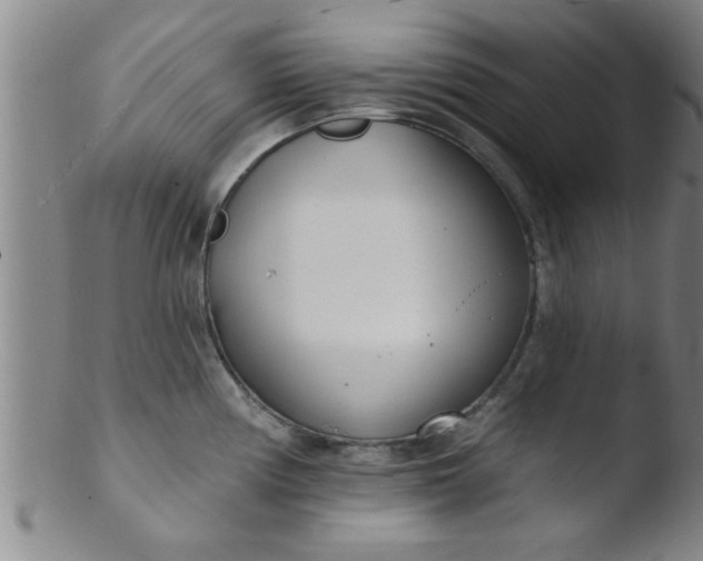 X0000103491194200809261943