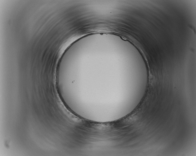 X0000103491195200809261943