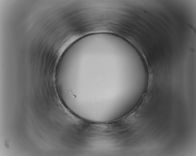 X0000103491197200809261943