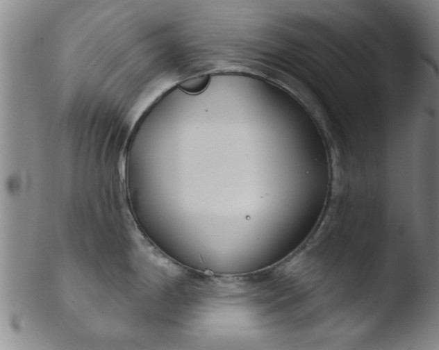 X0000103491198200809261943