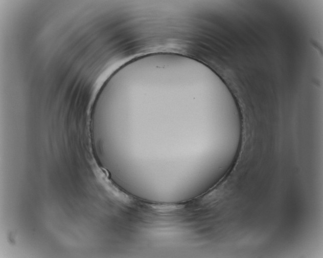 X0000103491200200809261943