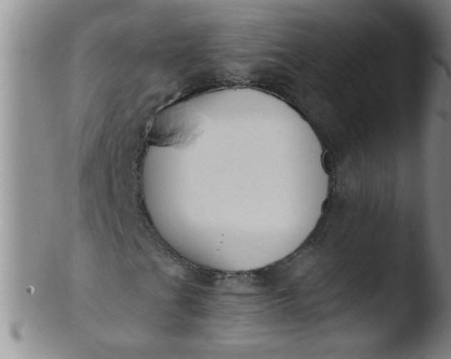 X0000103491201200809261942