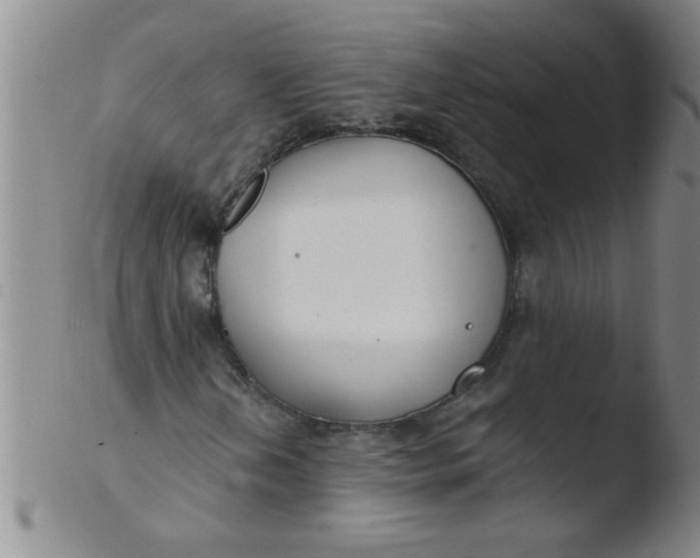 X0000103491202200809261942