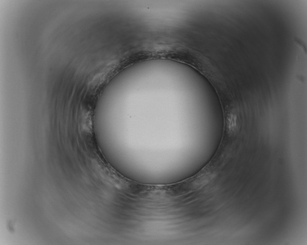 X0000103491204200809261942