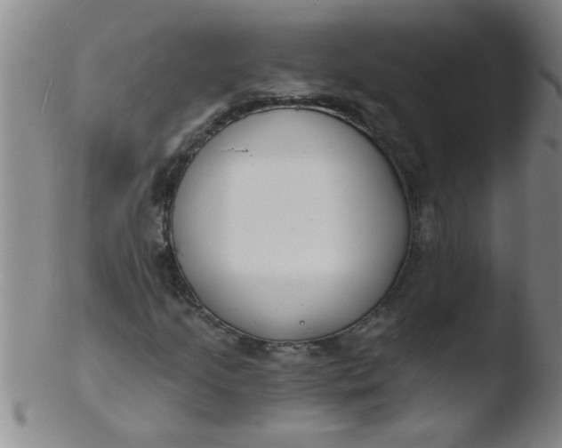 X0000103491205200809261942